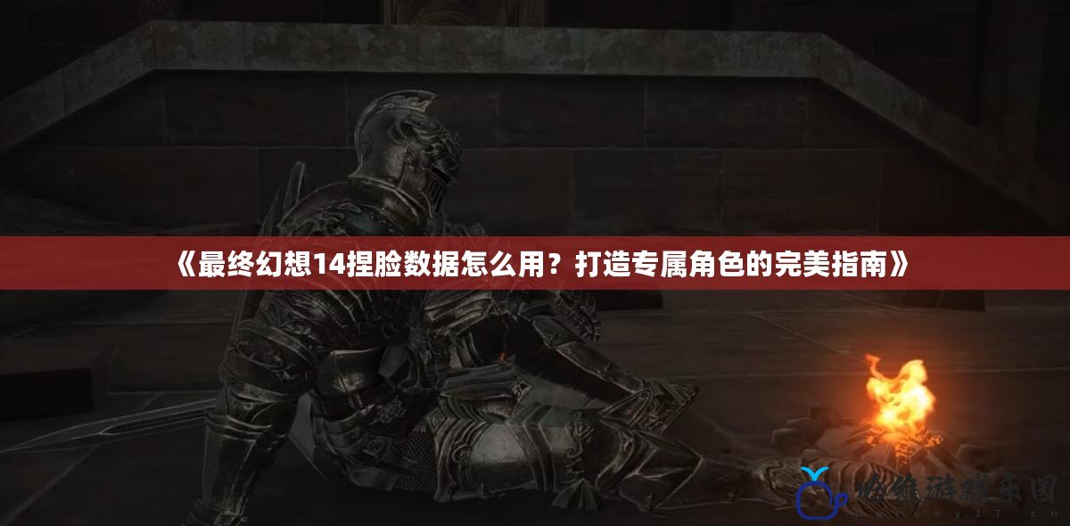 《最終幻想14捏臉數(shù)據(jù)怎么用？打造專屬角色的完美指南》