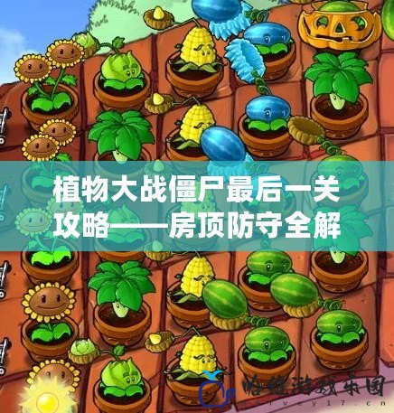 植物大戰(zhàn)僵尸最后一關(guān)攻略——房頂防守全解析！