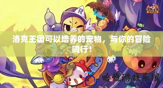 洛克王國可以培養(yǎng)的寵物，與你的冒險同行！