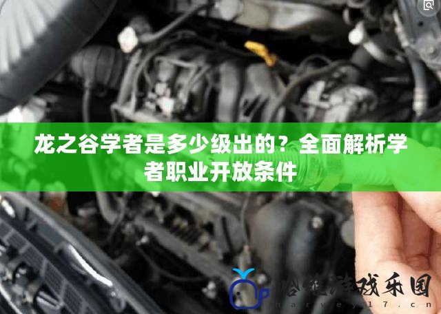 龍之谷學者是多少級出的？全面解析學者職業開放條件