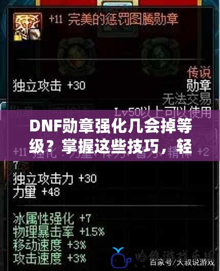 DNF勛章強化幾會掉等級？掌握這些技巧，輕松避免掉級！