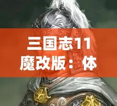 三國志11魔改版：體驗(yàn)極致策略與創(chuàng)新玩法的巔峰之作
