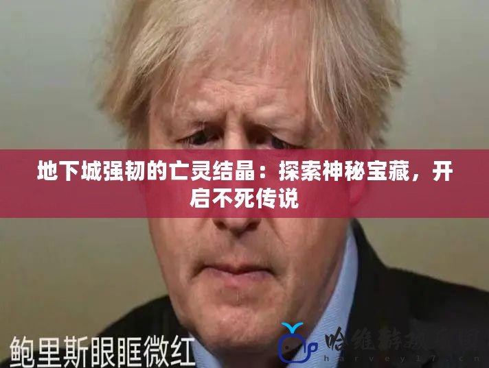 地下城強韌的亡靈結晶：探索神秘寶藏，開啟不死傳說