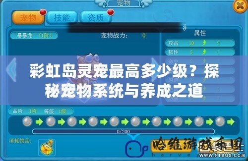 彩虹島靈寵最高多少級？探秘寵物系統(tǒng)與養(yǎng)成之道