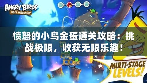 憤怒的小鳥金蛋通關攻略：挑戰極限，收獲無限樂趣！