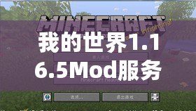 我的世界1.16.5Mod服務端——打造屬于你的獨特世界