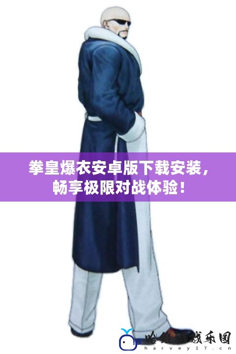 拳皇爆衣安卓版下載安裝，暢享極限對戰(zhàn)體驗！