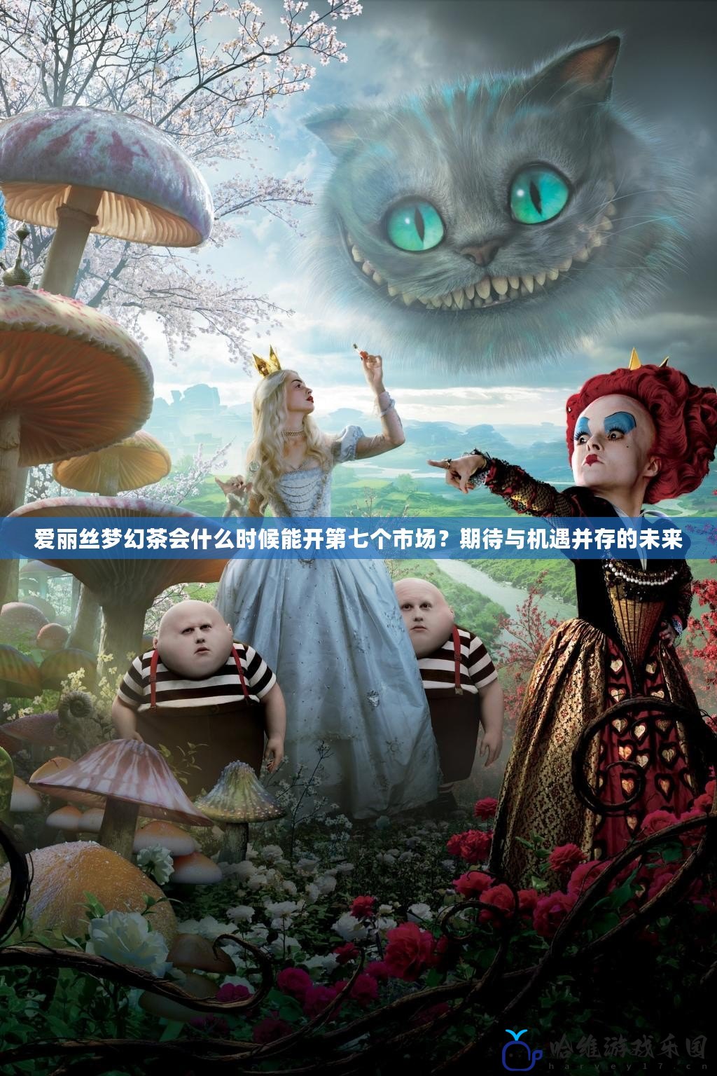 愛麗絲夢幻茶會什么時候能開第七個市場？期待與機(jī)遇并存的未來