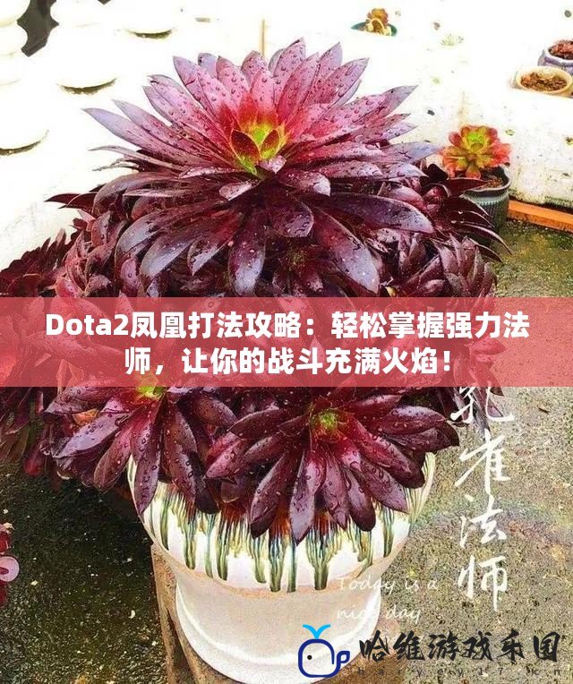 Dota2鳳凰打法攻略：輕松掌握強力法師，讓你的戰(zhàn)斗充滿火焰！