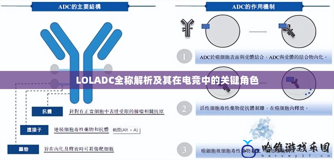 LOLADC全稱解析及其在電競中的關(guān)鍵角色