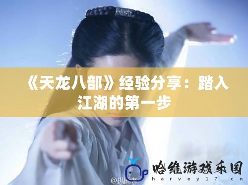 《天龍八部》經(jīng)驗分享：踏入江湖的第一步