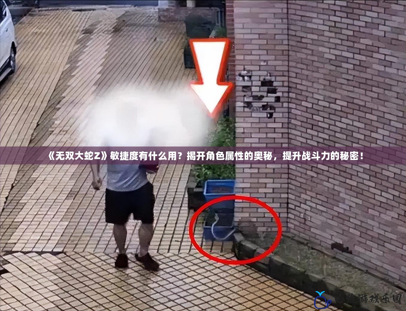 《無雙大蛇Z》敏捷度有什么用？揭開角色屬性的奧秘，提升戰斗力的秘密！