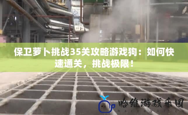 保衛蘿卜挑戰35關攻略游戲狗：如何快速通關，挑戰極限！