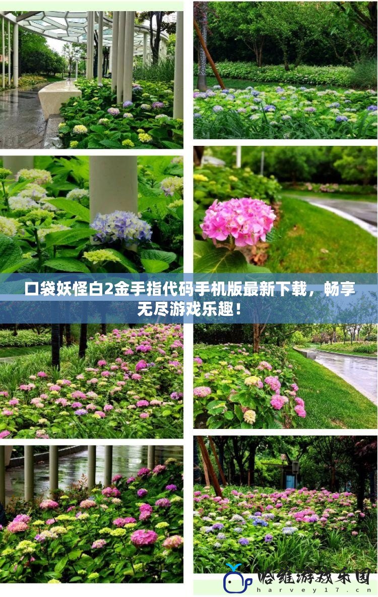 口袋妖怪白2金手指代碼手機版最新下載，暢享無盡游戲樂趣！