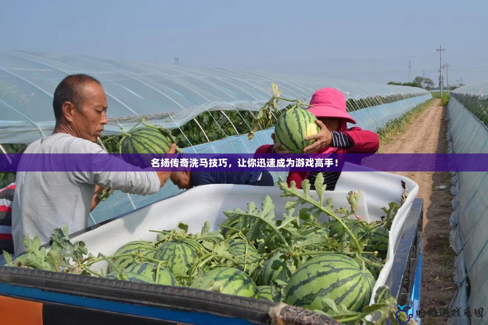 名揚傳奇洗馬技巧，讓你迅速成為游戲高手！