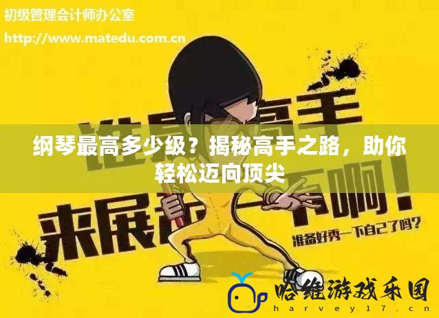 綱琴最高多少級？揭秘高手之路，助你輕松邁向頂尖