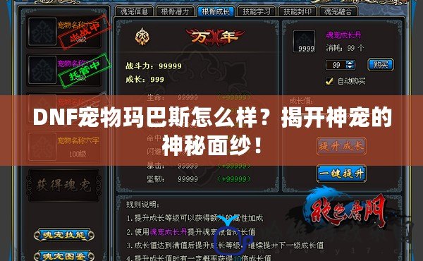 DNF寵物瑪巴斯怎么樣？揭開神寵的神秘面紗！