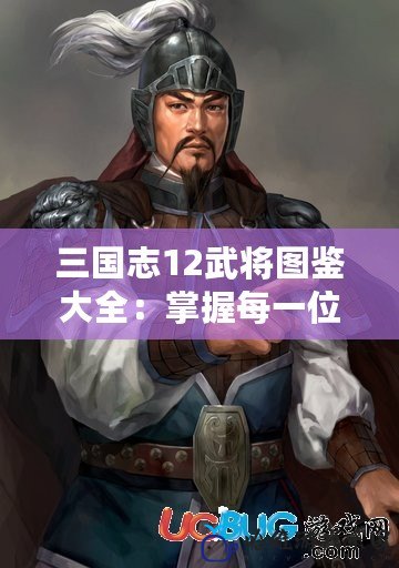 三國志12武將圖鑒大全：掌握每一位英雄的獨特魅力，打造無敵軍團！