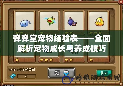 彈彈堂寵物經驗表——全面解析寵物成長與養成技巧
