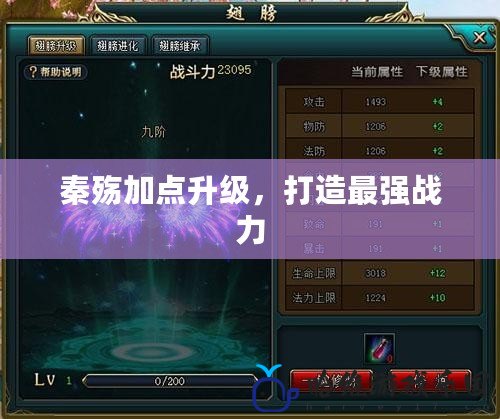 秦殤加點升級，打造最強戰力