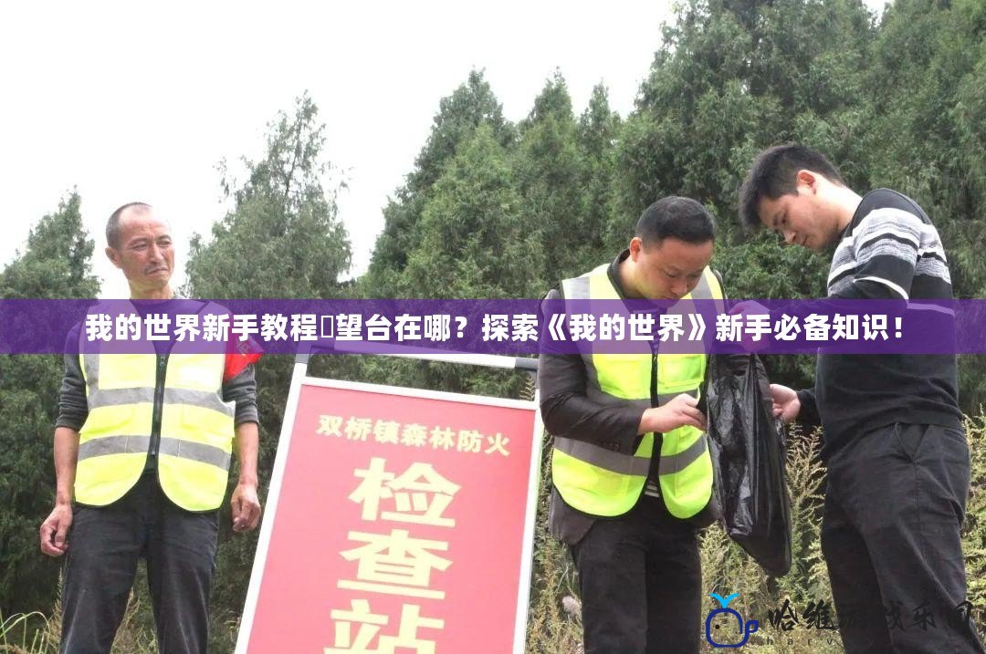 我的世界新手教程瞭望臺在哪？探索《我的世界》新手必備知識！