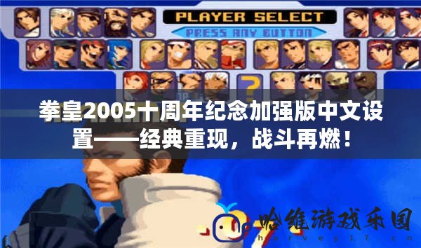 拳皇2005十周年紀念加強版中文設置——經典重現，戰斗再燃！