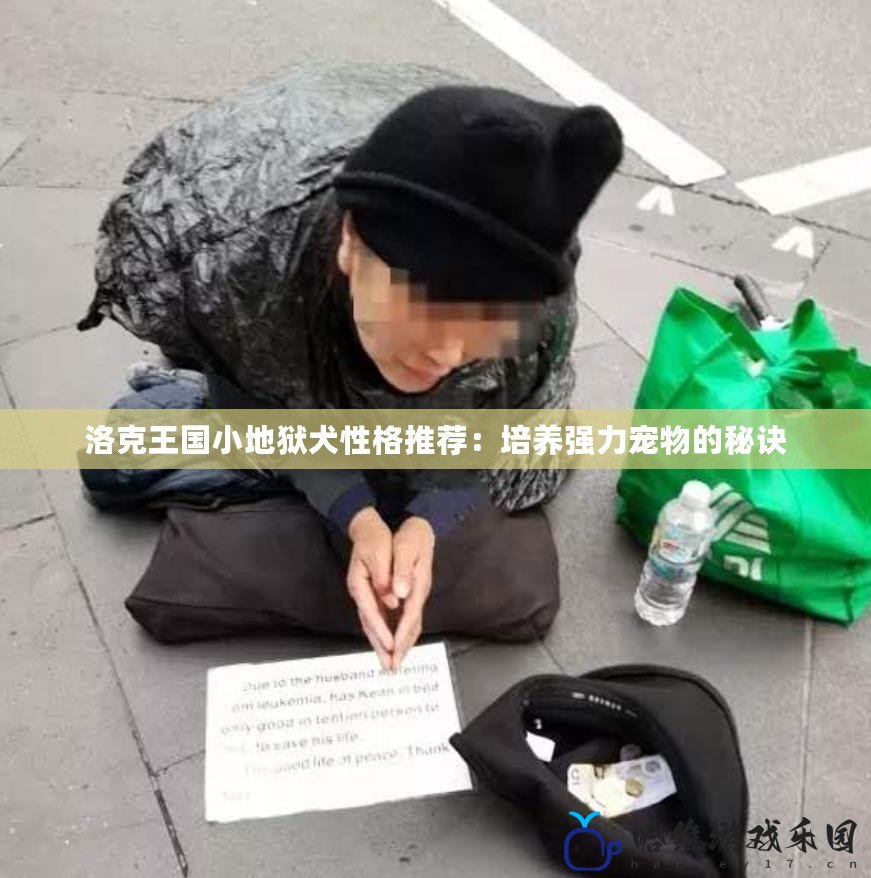 洛克王國小地獄犬性格推薦：培養強力寵物的秘訣